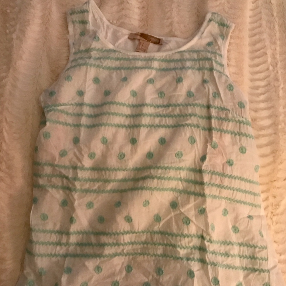 White and Mint Embroidered Top